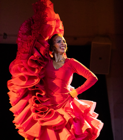 Authentic Flamenco: de show die Brussel doet daveren