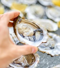 De 5 beste plekken om oesters te eten in Antwerpen