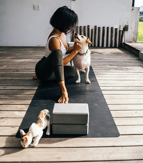 Puppy’s, paarden of geiten, ze kunnen allemaal je yoga-buddy worden