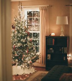 Hier shop je originele, grappige en chique kerstversiering voor een stijlvolle kerstboom