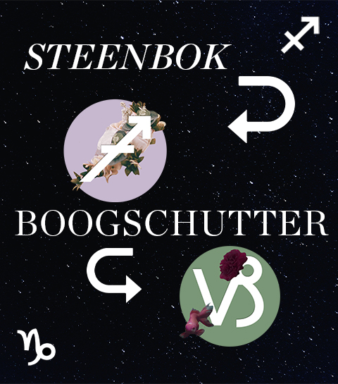 Hoe compatibel zijn Boogschutter en Steenbok in een relatie?