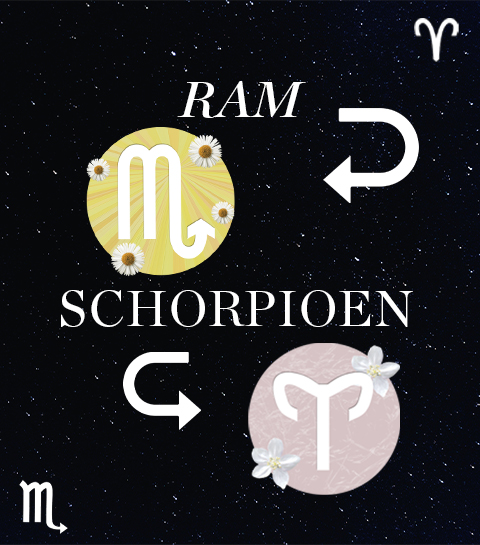 Hoe compatibel zijn Ram en Schorpioen in een relatie?