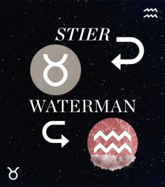 Hoe compatibel zijn Stier en Waterman in een relatie?