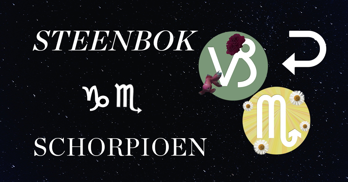 Welk Sterrenbeeld Staat Tussen Schorpioen En Steenbok