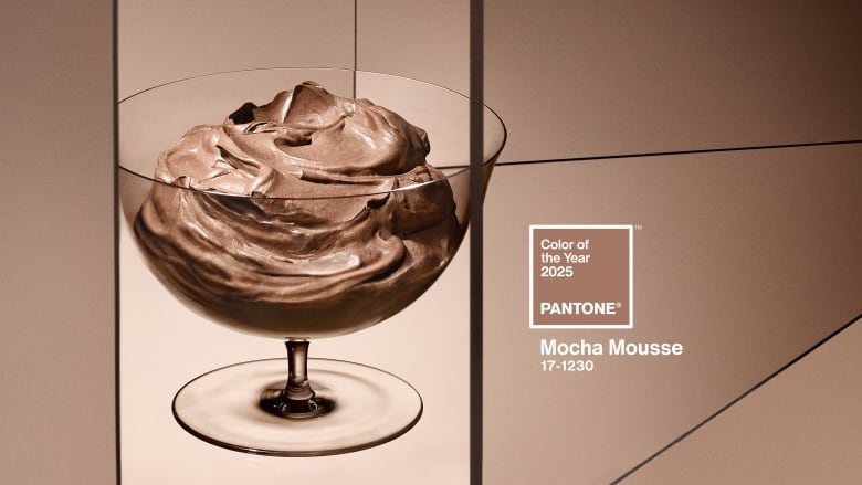 Pantone’s kleur van 2025, Mocha Mousse