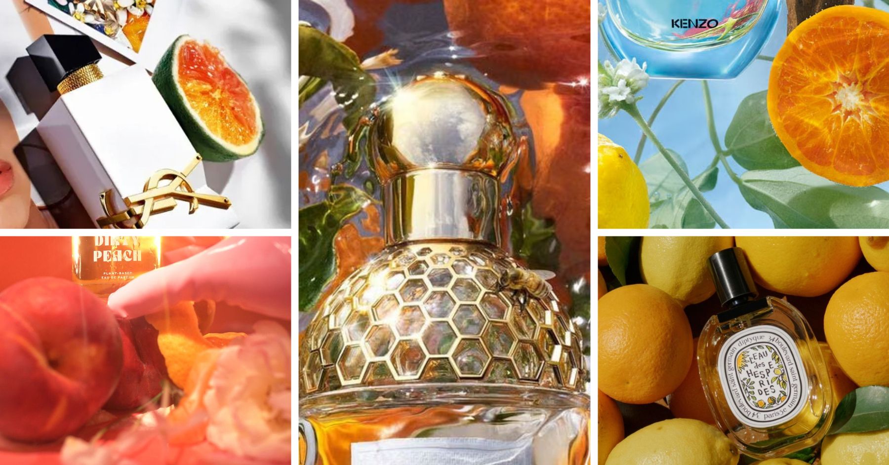 De beste zomerparfums van 2025 hebben allemaal dit ingrediënt