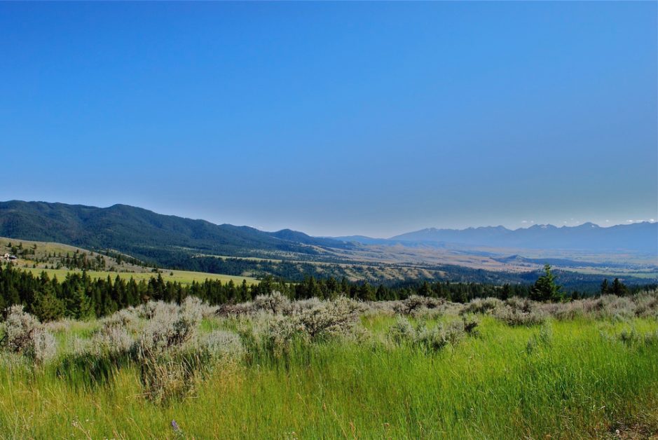 Montana