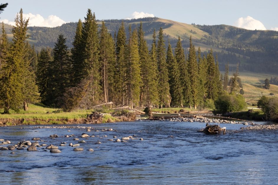 Montana