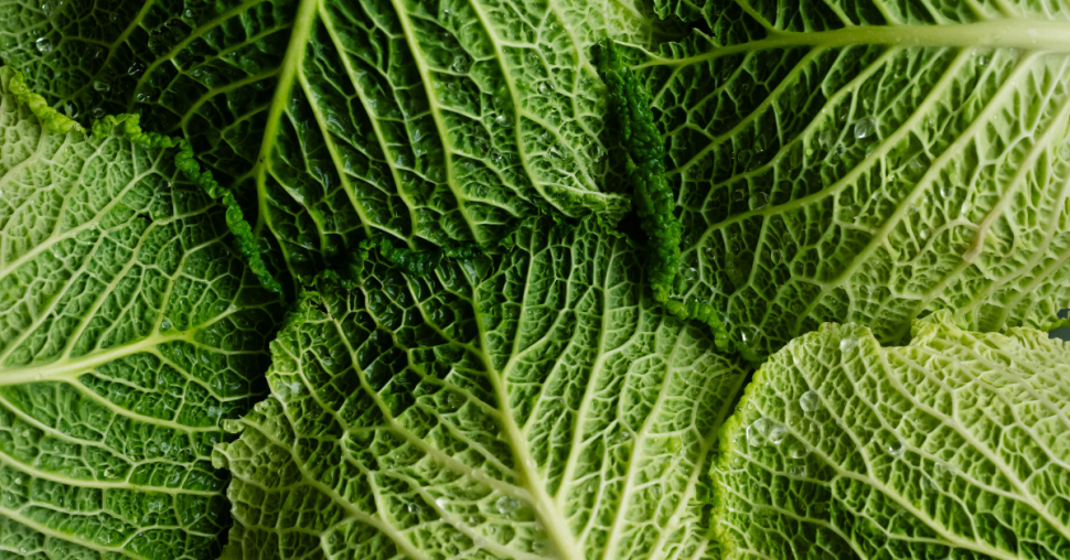 Dit is het virale recept dat iedereen verslaafd maakt aan kool