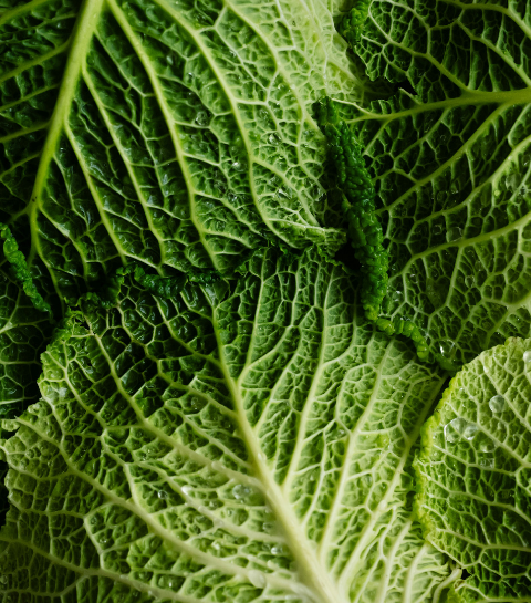 Dit is het virale recept dat iedereen verslaafd maakt aan kool