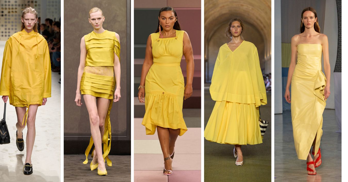 geel zonnebloem kleur