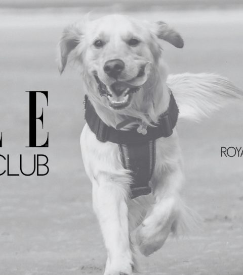 ELLE Running Club Knokke 2026: loop jij met je hond?