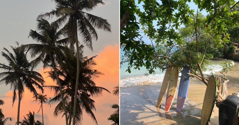 7 redenen waarom Sri Lanka dé reisbestemming voor 2026 is