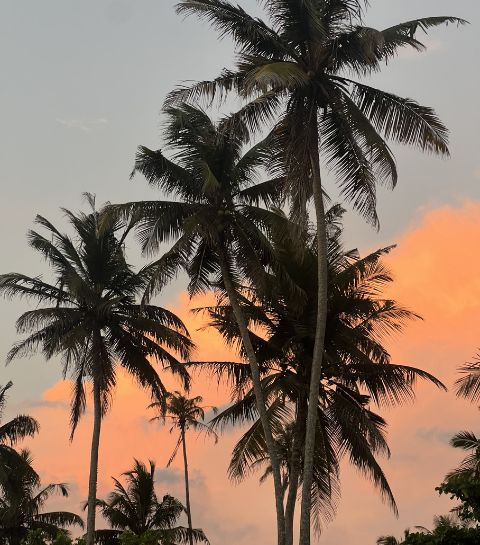 7 redenen waarom Sri Lanka dé reisbestemming voor 2026 is