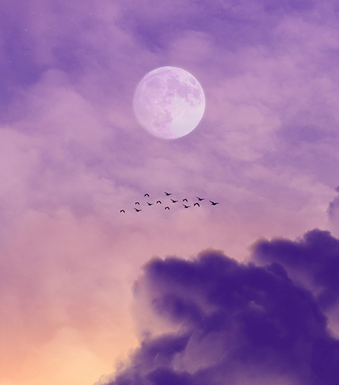 Weekhoroscoop: jouw voorspellingen voor 30 maart tot 5 april 2026