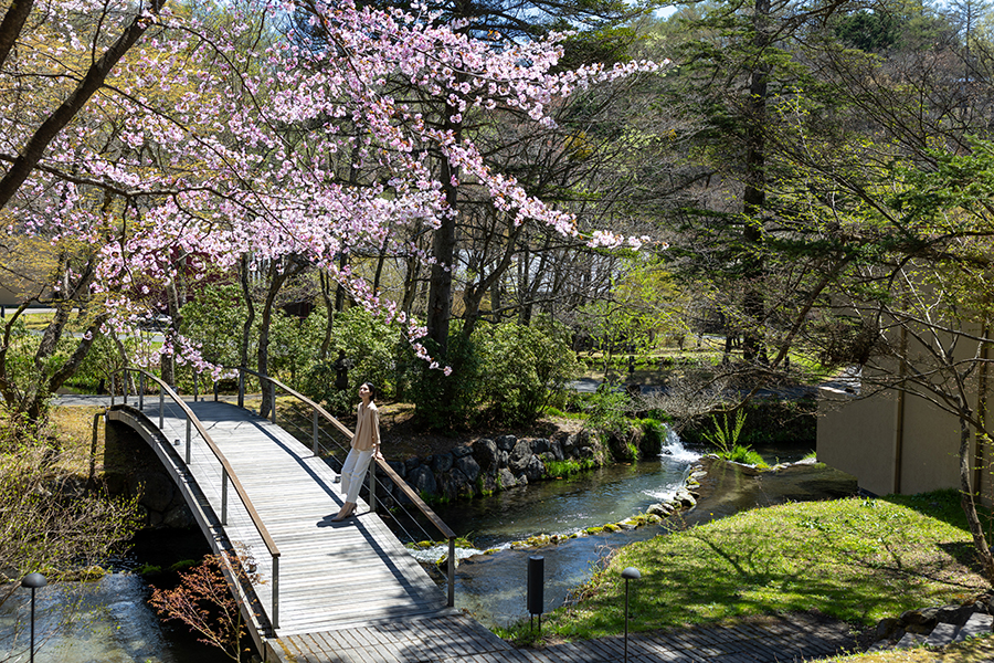 Hoshino Resorts