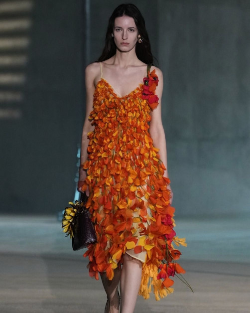 DIOR dรฉfilรฉ cruise 2027