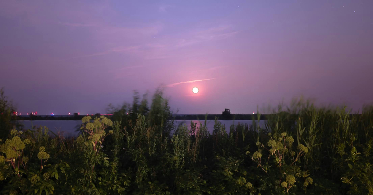 Weekhoroscoop 15-21 Juni 2026