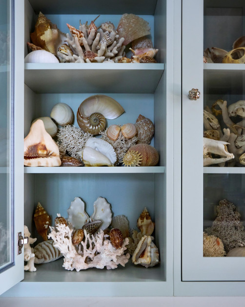 coastal interieur