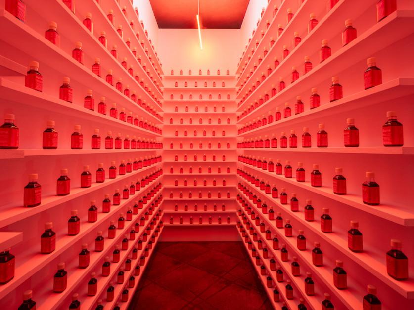 Shilpa Gupta, 'Blame', 2002. Fred Dott